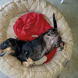 Meet your Posher, Wendy